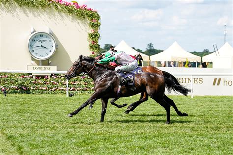 diamond jubilee stakes|The Queen Elizabeth II Jubilee Stakes 2024 Runners & Result.